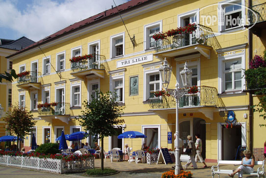 Hotel photo Drei Lilien 4*