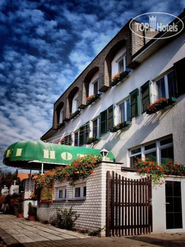 New photos from tourists Golfi Hotel 3*