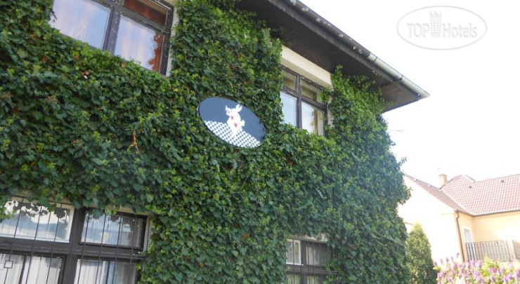 Hotel photo White Rabbit Hall Hotel 3*