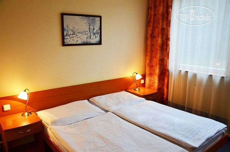 Hotel photo Albionette 4*