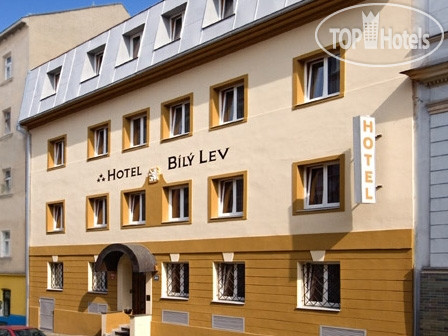Hotel photo White Lion 3*