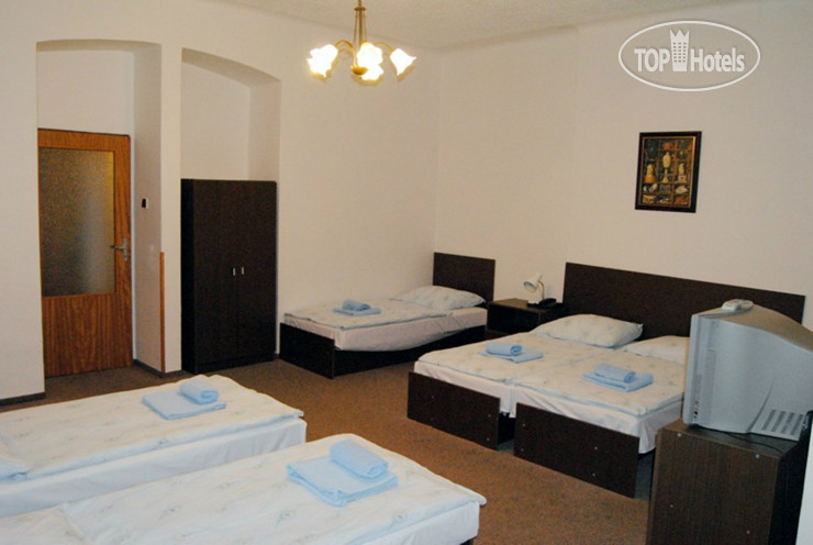 Hotel photo Olga 3*