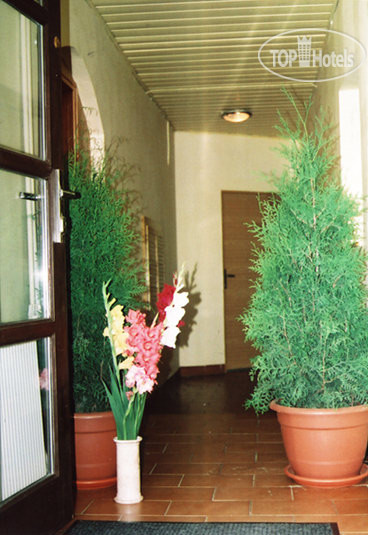 New photos from tourists Regia 3*