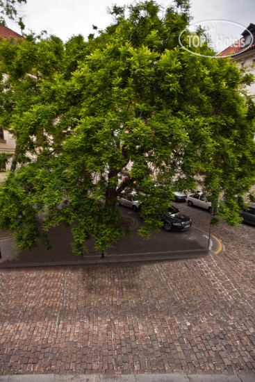 New photos from tourists Alchymist Prague Castle Suites 5*