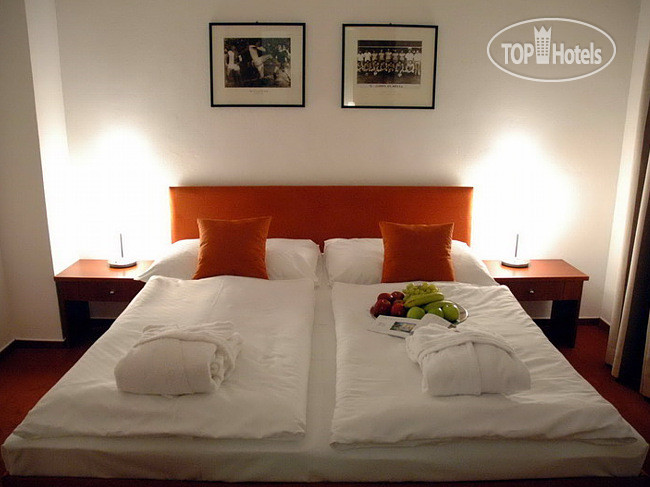 New photos from tourists Synot Hotel 3*