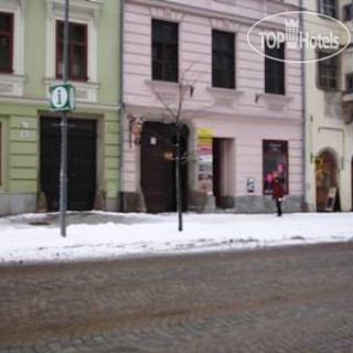 Photos  Willa Penzion