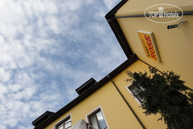 New photos from tourists Rose Hotel 3*