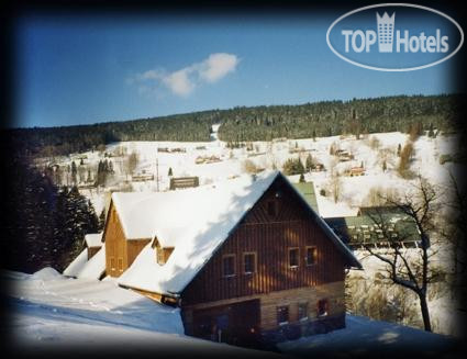 New photos from tourists Buffalo 3*