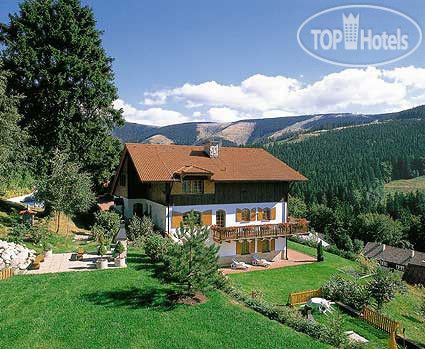 Hotel photo Pension Rosa 3*