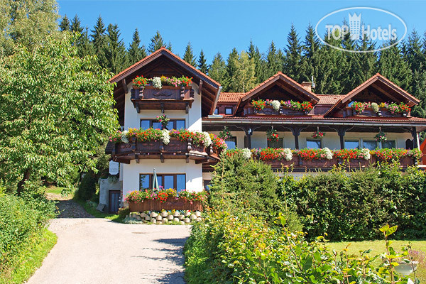 Hotel photo Pretty Pension  