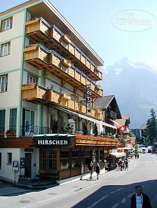 Photos Hirschen