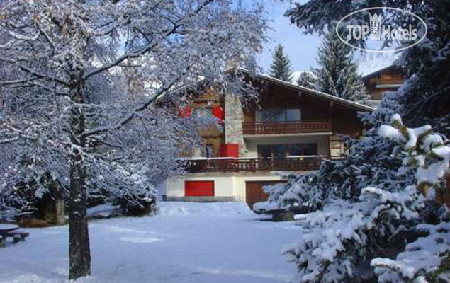 Photos Apartment Harlequin