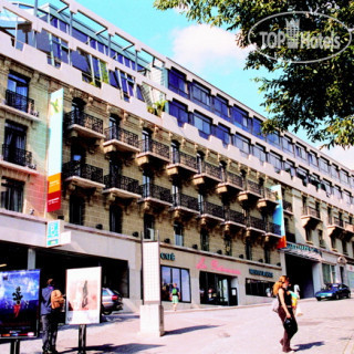 Photos Alpha Palmiers