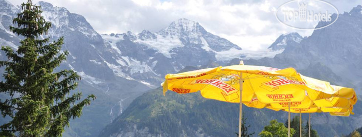 New photos from tourists Edelweiss 3*
