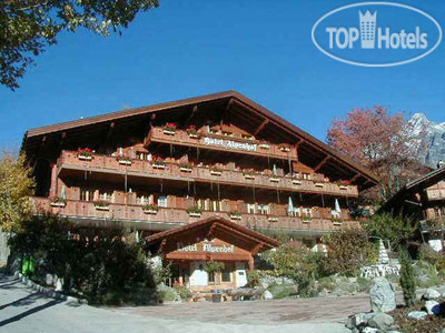 Hotelier's photos Alpenhof 3*
