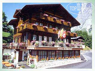 Hotelier's photos Blumlisalp 2*