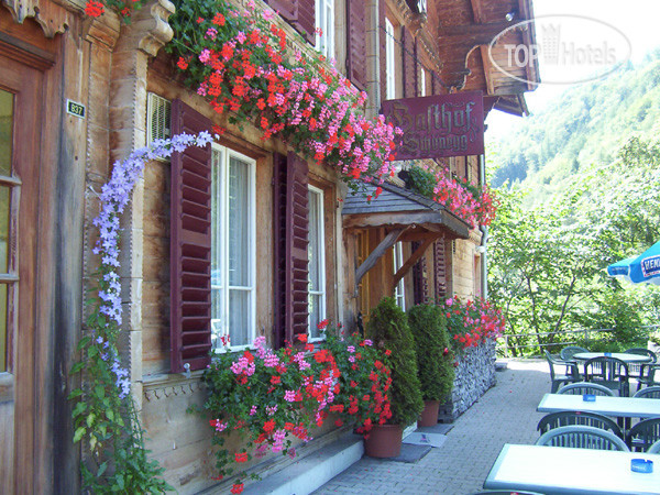 New photos from tourists Gasthof Schonegg 2*
