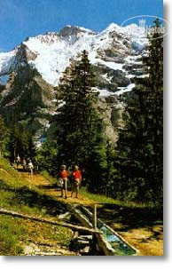 New photos from tourists Bellevue 3*