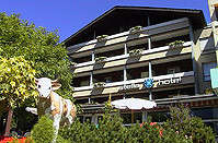 Hotel photo Stella 4*