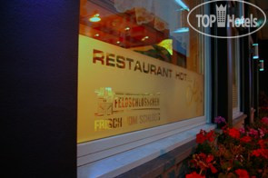 New photos from tourists Alfa 3*