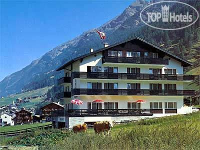Hotel photo Dom 3*