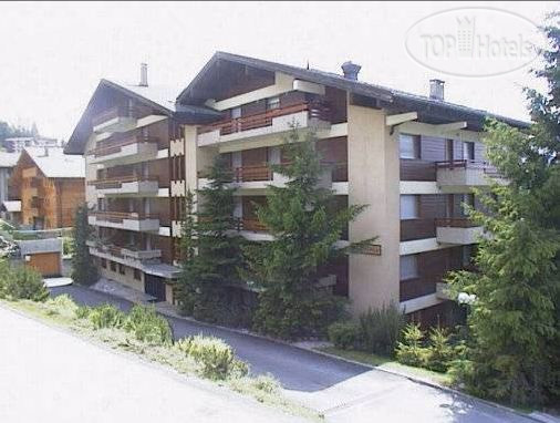 New photos from tourists Res. Flaminia 119 3*