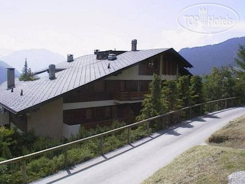 Hotel photo Res. Pelican 153 A 4*
