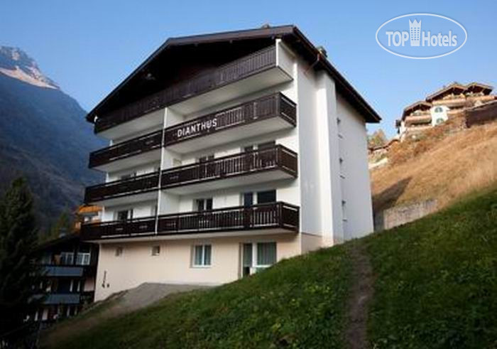 Hotel photo Dianthus 2*