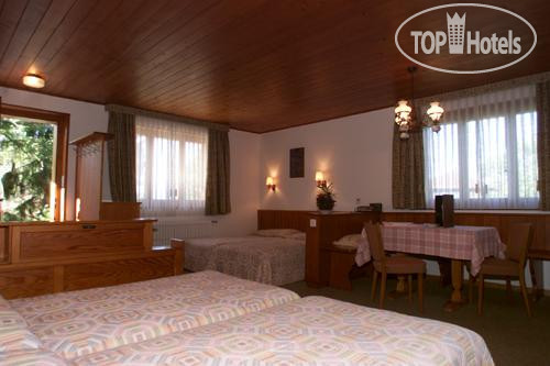 New photos from tourists Ecureuil 3*