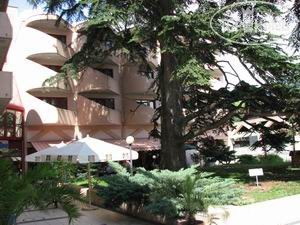 Hotelier's photos Hotel Le Cedre 4*