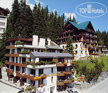 Hotel photo Alpina 3*