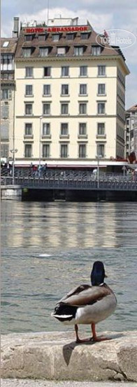 Фотографии отельера Ambassador Geneva 4*