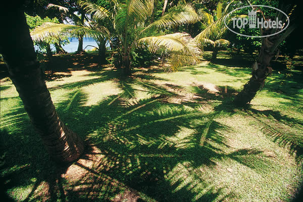 New photos from tourists Dolphin Island Fiji 4*