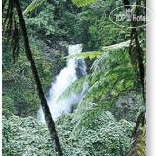 Photos Bedarra Beach Inn