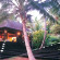 Photos Dolphin Island Fiji