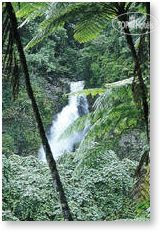 Hotel photo Bedarra Beach Inn 4*