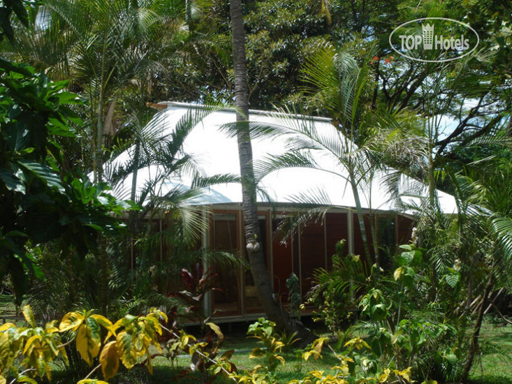 Hotel photo The Fiji Orchid 5*