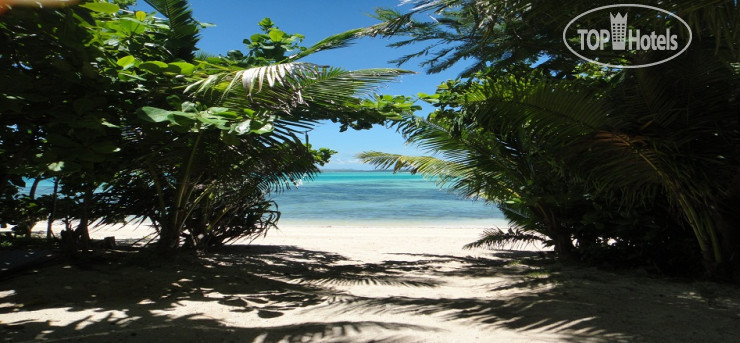 New photos from tourists Navutu Stars Resort 4*