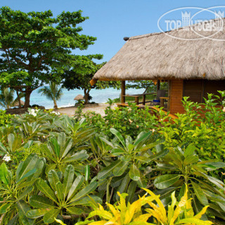 Photos Viva Island Resort