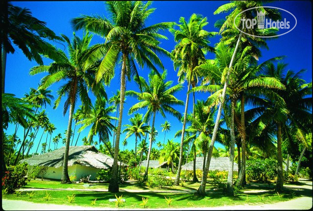 New photos from tourists Plantation Island Resort 3*