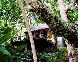 New photos from tourists Matangi Island Resort 4*
