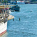 Фото Barken Viking Hotel
