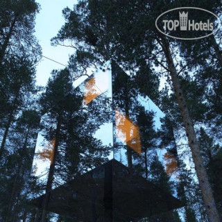 Photos Treehotel