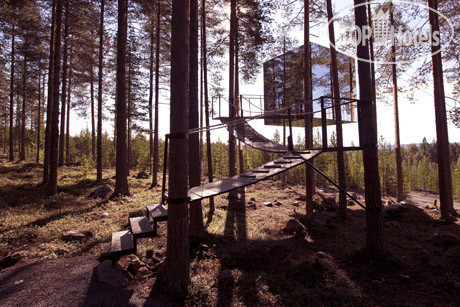 New photos from tourists Treehotel 4*