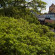 Фото Scandic Foresta