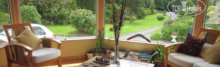 New photos from tourists Pineforest Bed & Breakfast 3*