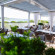 Photos Act-ION Hotel Neptun