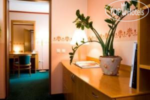New photos from tourists Ibis Styles Ljubljana Centre 3*