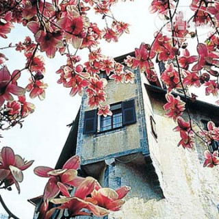 Фото Castle