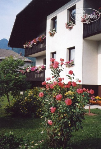 New photos from tourists B&B Brezov Gaj 3*